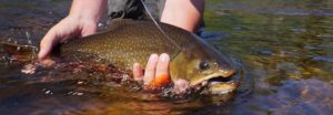 fishing
