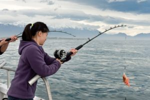 fishing rod