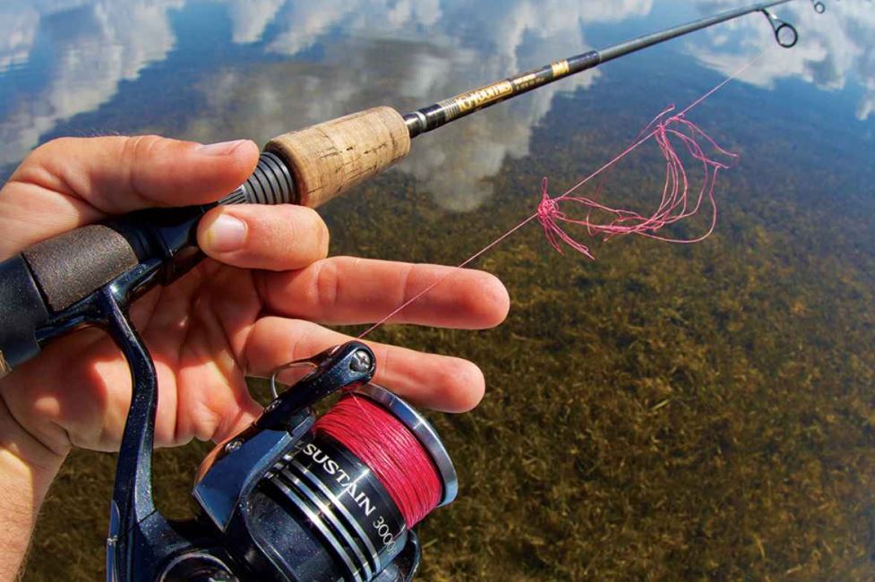 fishing